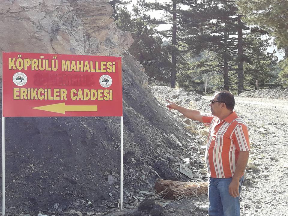 Sert tepki