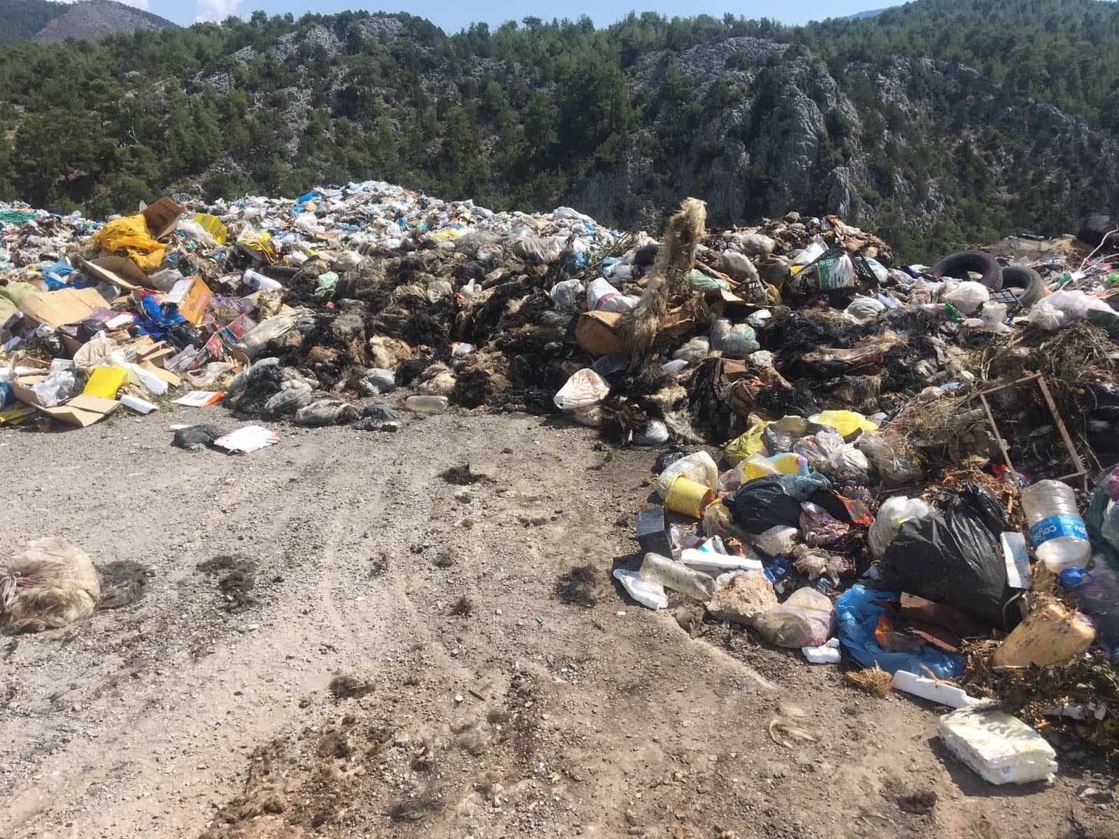 Kuban Derilerini Çöpe Attılar