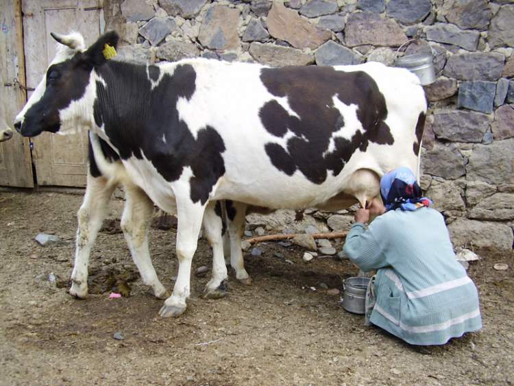 Tarımda destek ödemeleri başladı