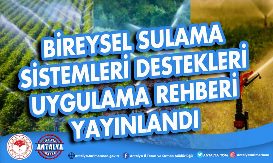 Son başvuru 1 Mart