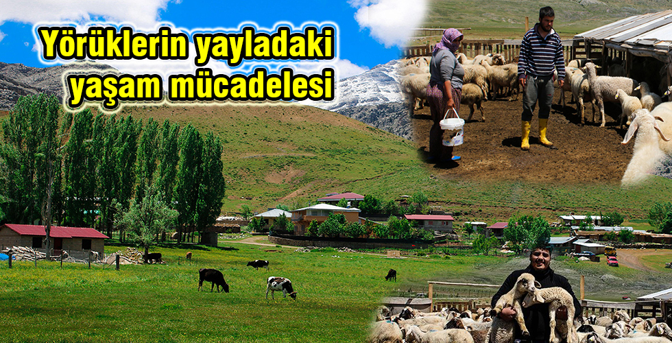 Yörüklerin yayladaki yaşam mücadelesi