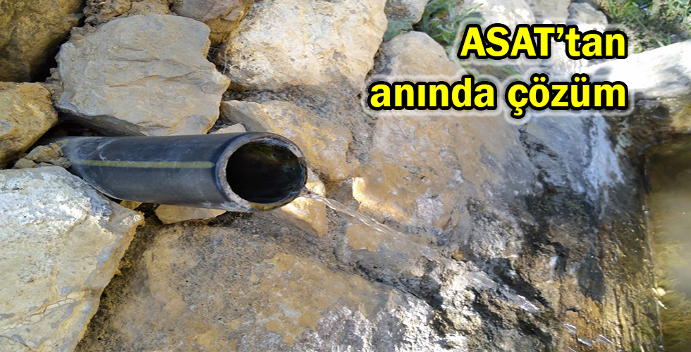 Anında çözüm