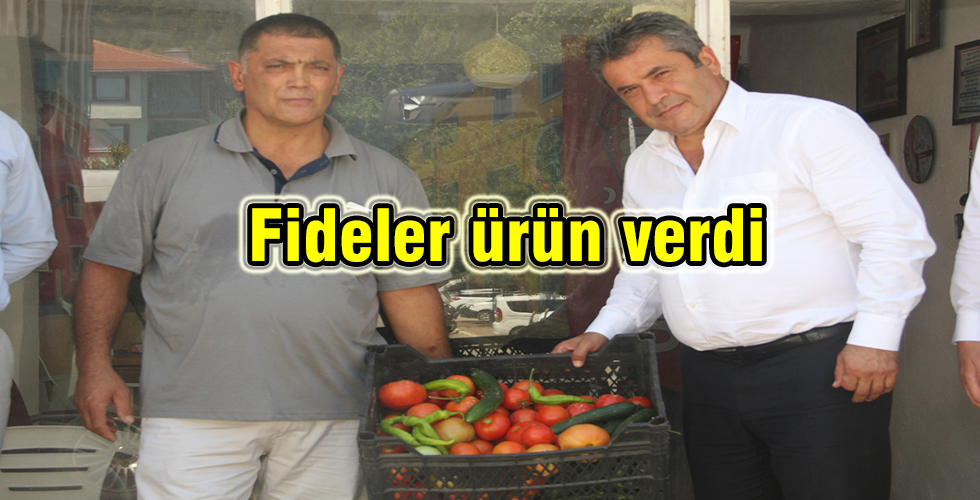 Fideler ürün verdi