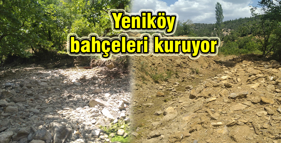 Yeniköy bahçeleri kuruyor