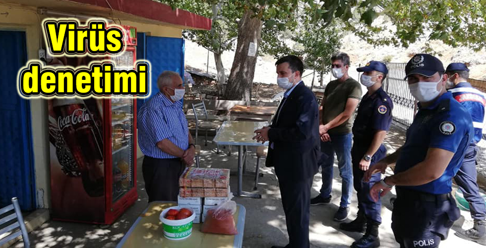 Virüs denetimi