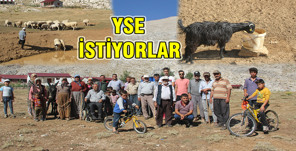 YSE İSTİYORLAR