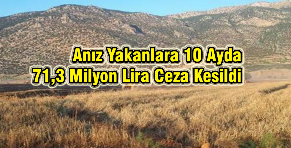 Anız Yakanlara 10 Ayda 1,3 Milyon Lira Ceza Kesildi