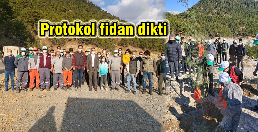 Protokol fidan dikti