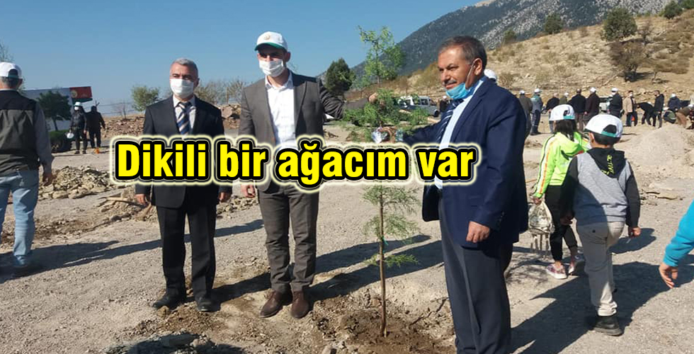 Dikili bir ağacım var
