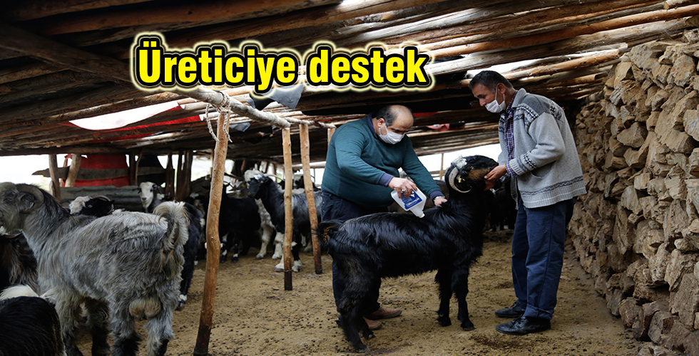 Üreticiye destek