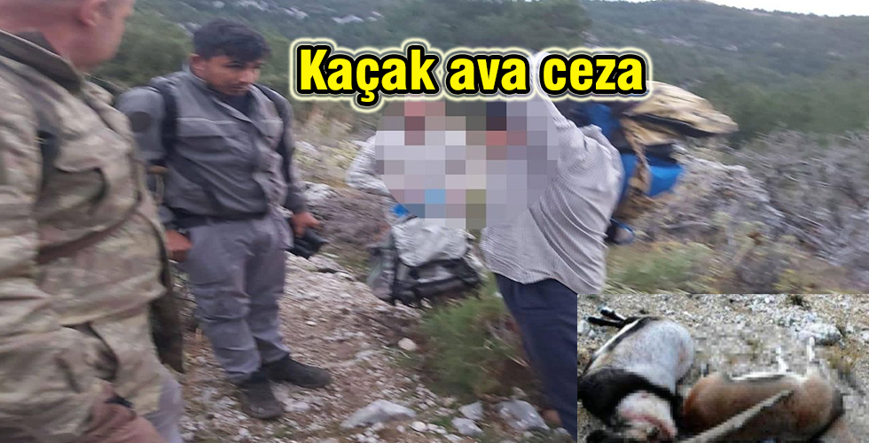 Kaçak ava ceza
