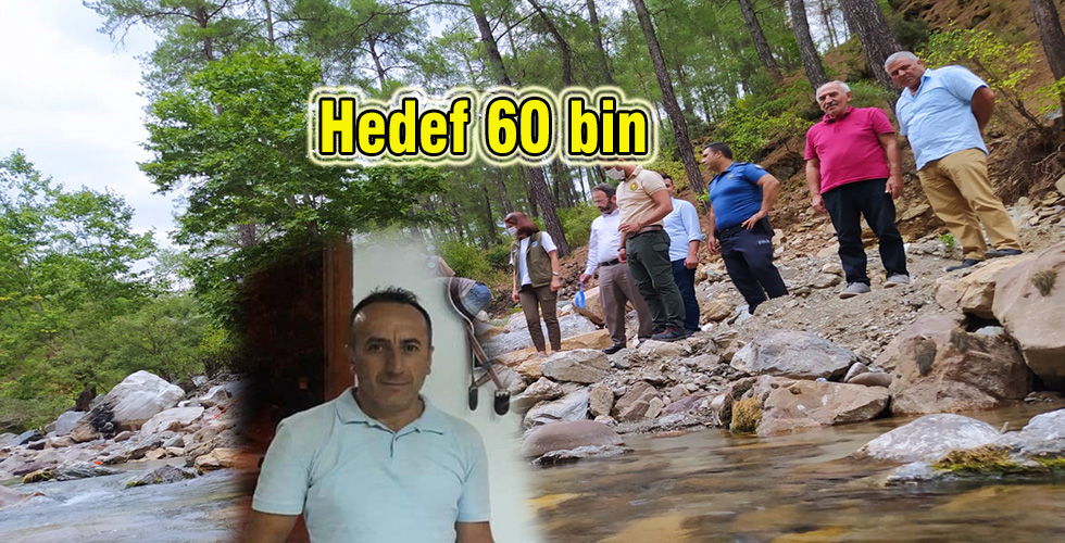 Hedef 60 bin