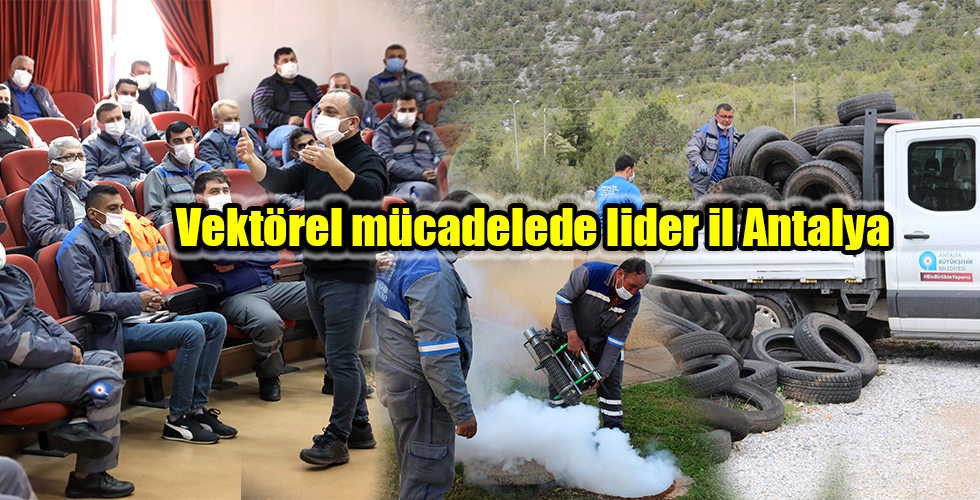 Vektörel mücadelede lider il Antalya