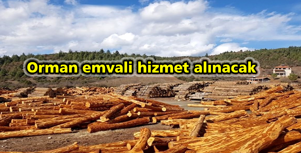 Orman emvali hizmet alınacak