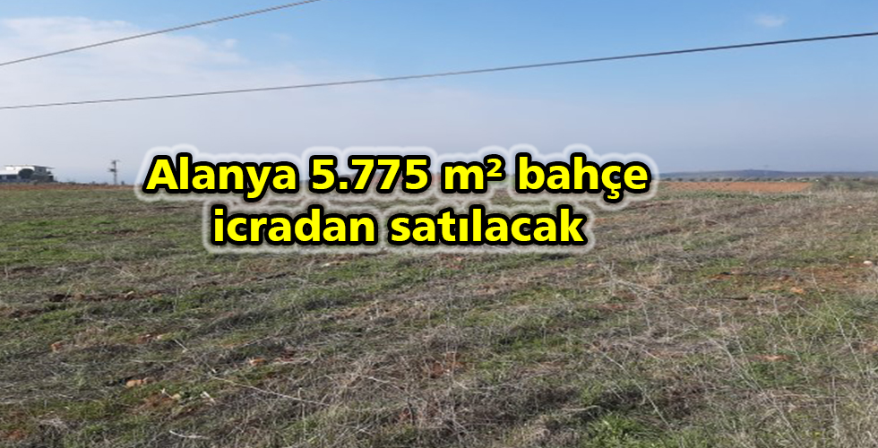 Alanya 5.775 m² bahçe icradan satılacak