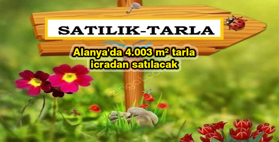 Alanya'da 4.003 m² tarla icradan satılacak
