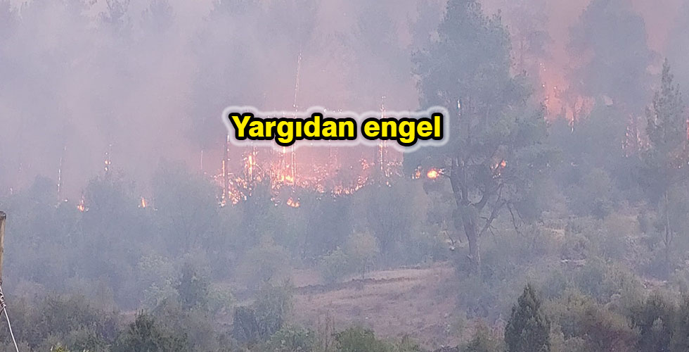 Yargıdan engel