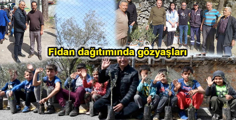 Fidan dağıtımında gözyaşları