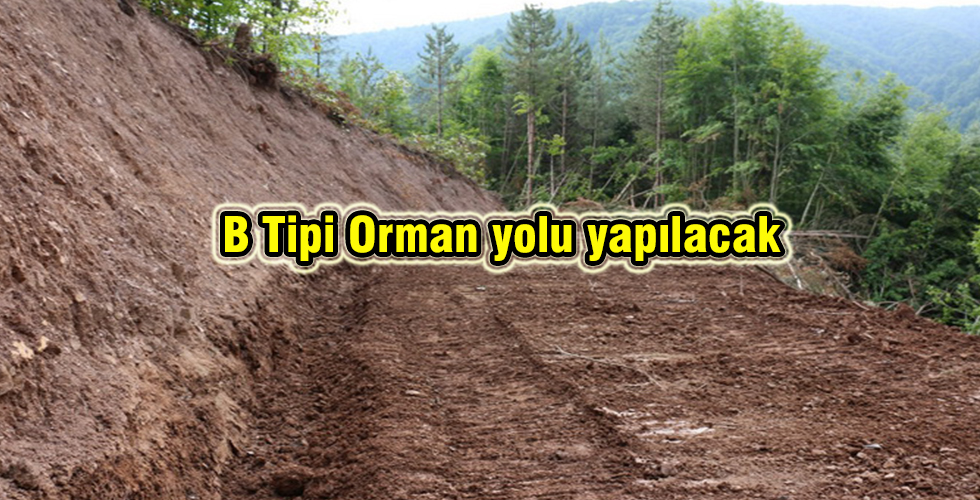 B Tipi Orman yolu yapılacak
