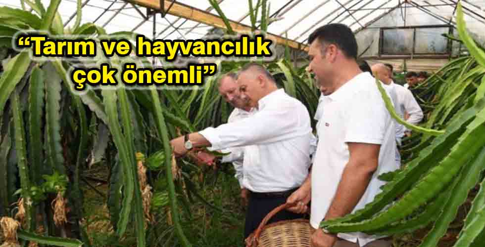 “Tarım ve hayvancılık çok önemli”