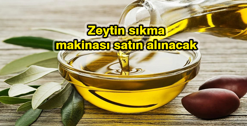 Zeytin sıkma makinası satın alınacak