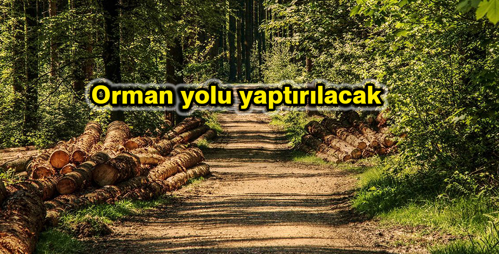 Orman yolu yaptırılacak