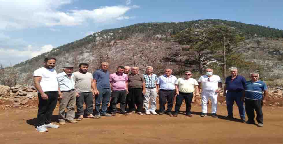 Karadağ'ın Orman Talanı İsyanı