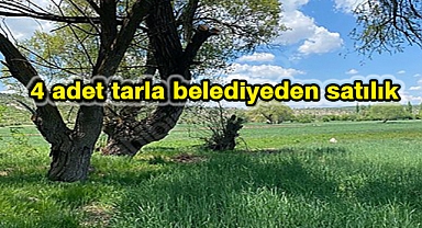 4 adet tarla belediyeden satılık