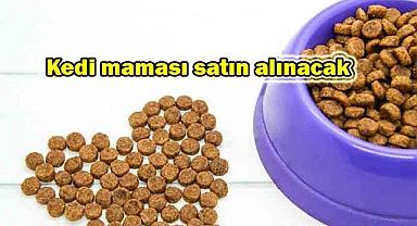 Kedi maması satın alınacak
