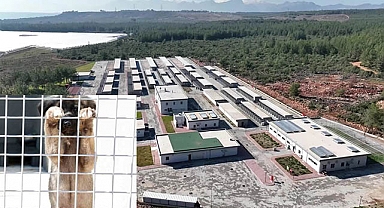 Şefkat yuvası hizmette