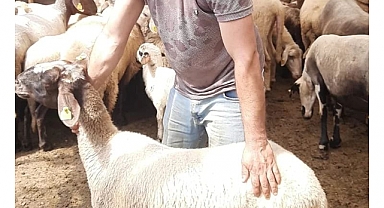 Bayram alarmı