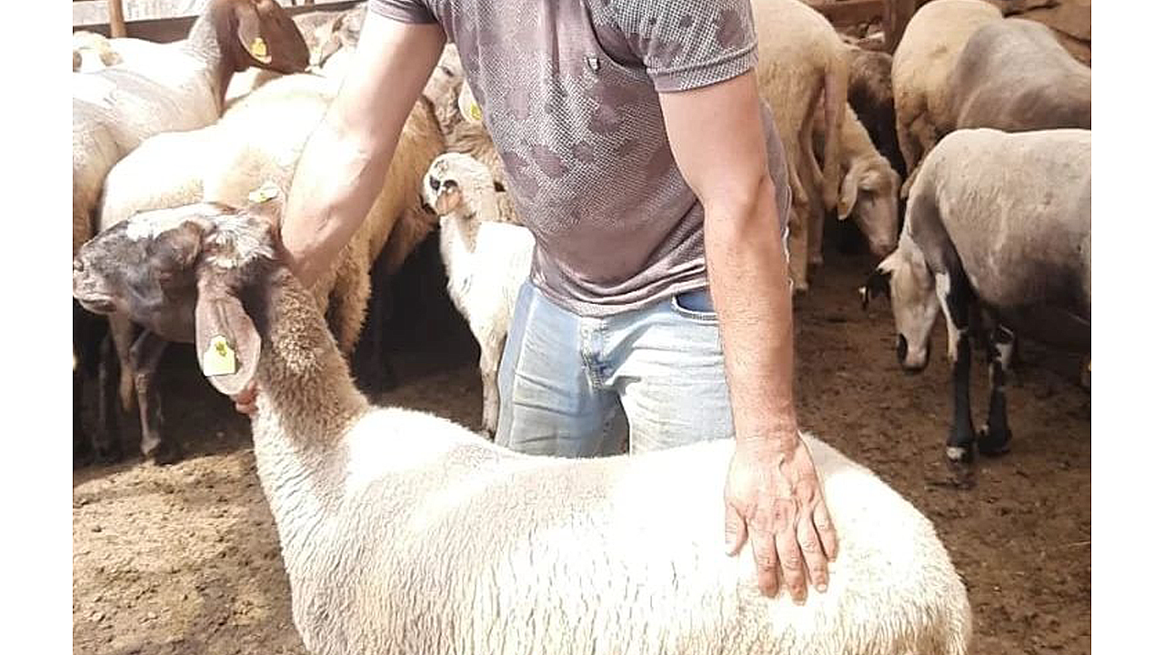 Bayram alarmı