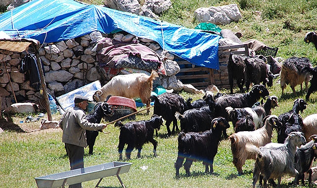 -Göç başladı