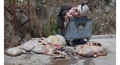 ‘Alanya’yı karalamaya çalışıyorlar’