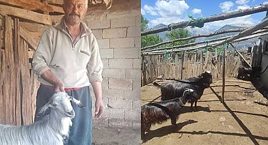 Aşılama devam ediyor