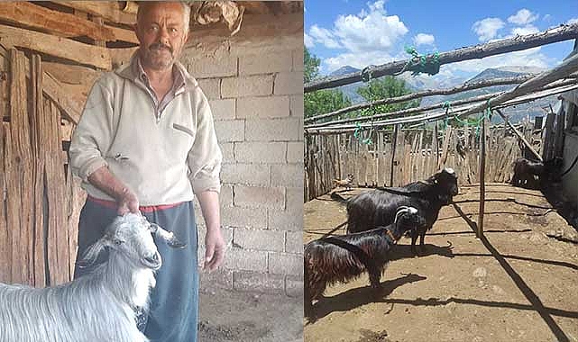 Aşılama devam ediyor