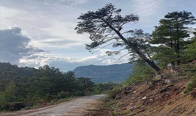 Bu da Türk işi