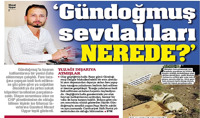 ‘Gündoğmuş sevdalıları nerede?’