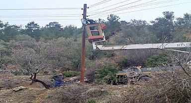 Narağacı artık daha aydınlık