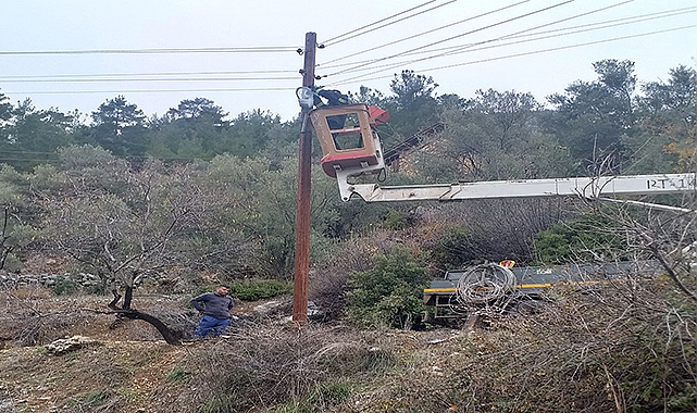Narağacı artık daha aydınlık