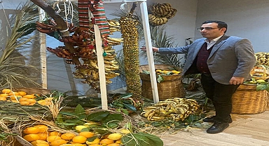 Narenciye üreticisi büyük sıkıntı yaşıyor