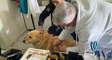 Kuduz aşısı ve bilgilendirme