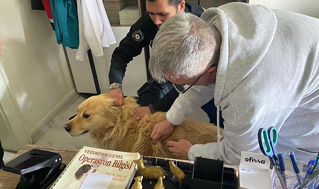 Kuduz aşısı ve bilgilendirme