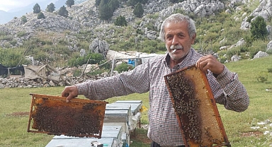 Bal üretimi başladı