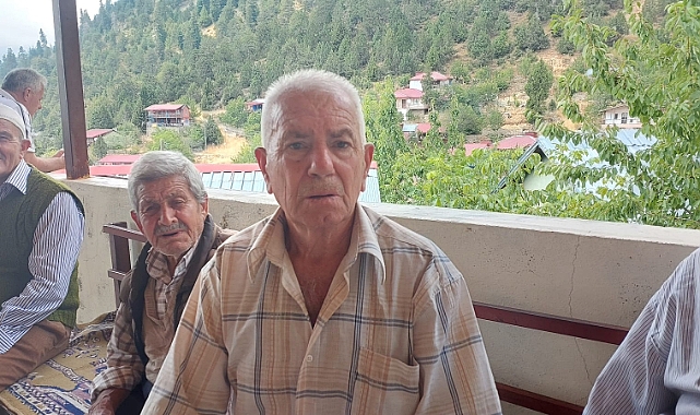 Domuzlar çileden çıkardı