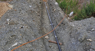 Narağacına müjde!