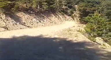 Yayla yolunun yapılmasını istiyorlar