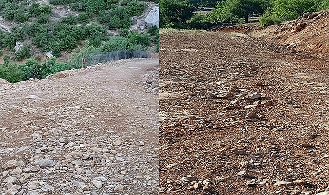 Yol isyanı