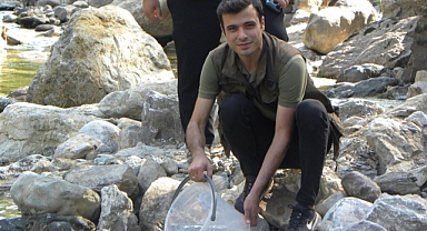 Alara’ya 5 bin kırmızı benekli alabalık salındı