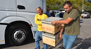 Büyükşehir Belediyesi Alanyalı bal üreticilerine arı kovanı hibe etti